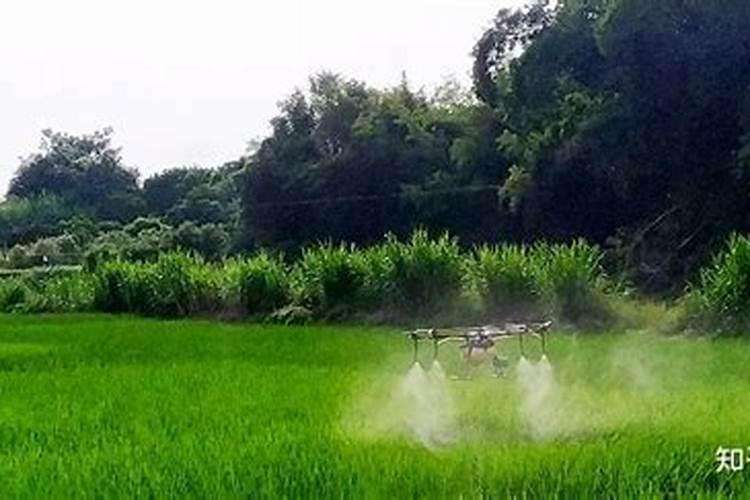 水溶肥是什么肥料,水溶肥怎么用效果好,注意事项
