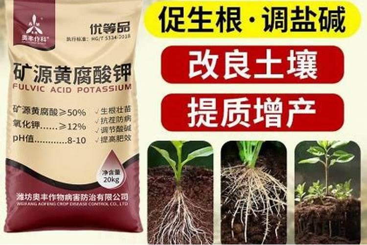 糖密肥能不能在大葱上使用？