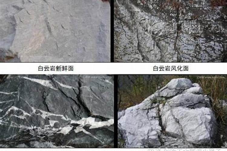 荔枝树什么时候施肥？
