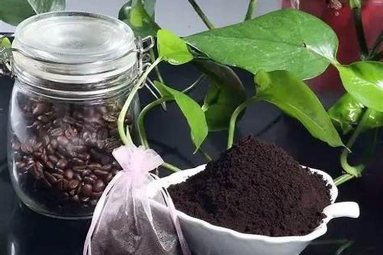 白糖可以做肥料吗