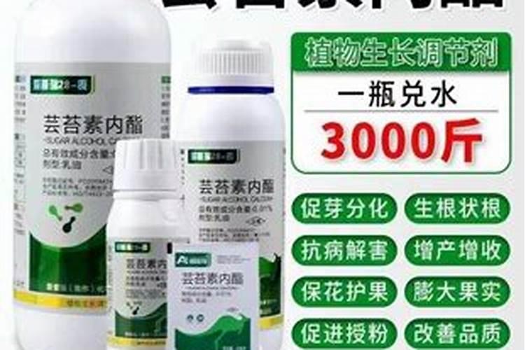 生菜得了病,叶片上有很多的突起,像小的一些,包包一样。要怎么抑制...