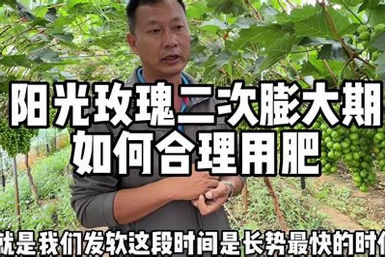 春暖化肥多少钱一袋