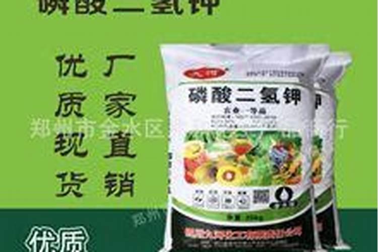 果树什么时候施肥最好？