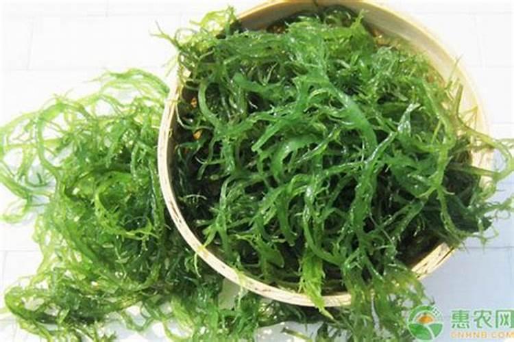 追肥来改善果实的品质,有哪些有机肥料最合适？