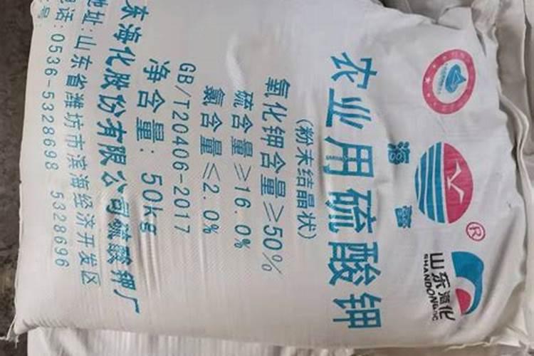 荔枝树要怎样进行施肥？