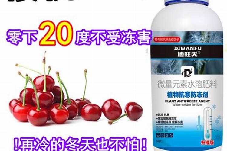 樱桃树施什么肥樱桃树施哪些肥