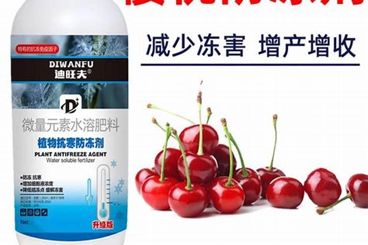 樱桃树施什么肥樱桃树施哪些肥
