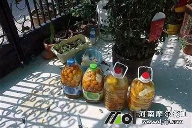 红糖加醋做叶面肥