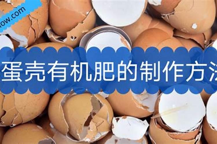 蛋壳做肥料怎么做
