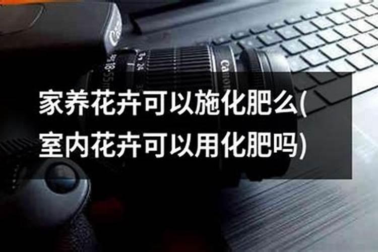 有哪些花能用氮肥