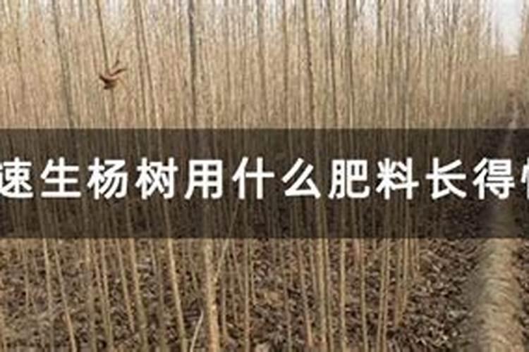 奥绿缓释肥真假对比