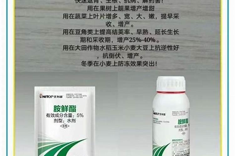 植物生长调节剂怎样与芸苔素内酯复配？ 杀灭螨虫快用50%溴螨酯 专业更...
