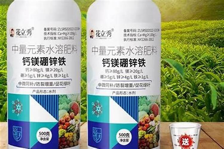 水溶肥是什么肥料