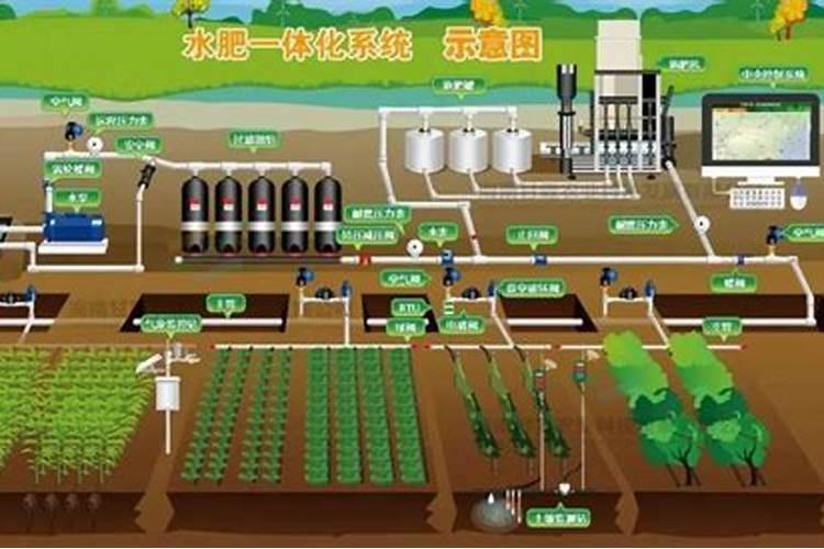 有谁知道阿米多彩农药