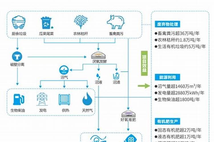 为什么高粱秸秆不能喂羊 高粱秸秆能喂羊吗