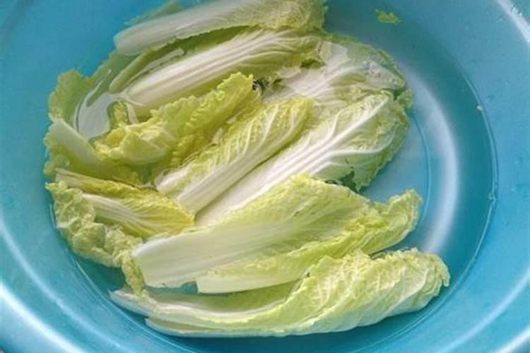 油茶树一年施几次肥料