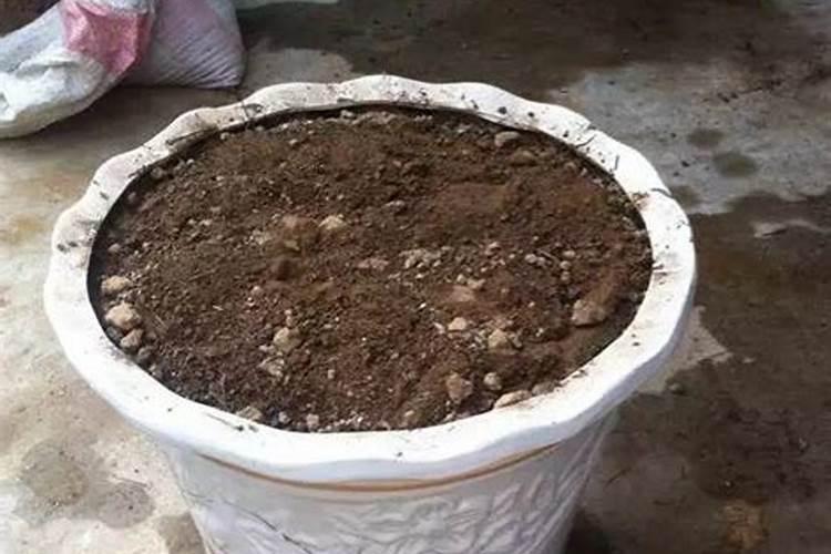 家庭堆肥的制作方法