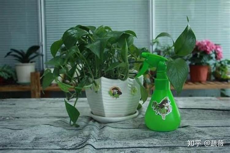生化黄腐酸钾执行标准