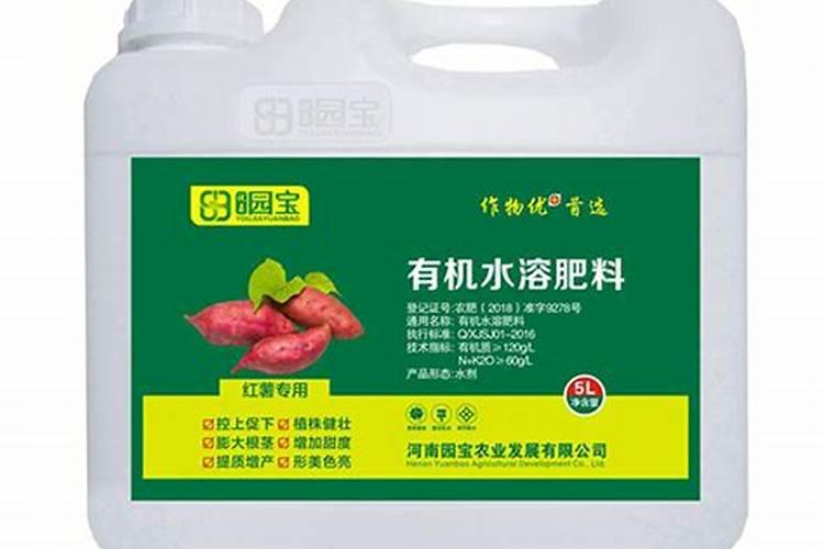草莓施什么肥料果大