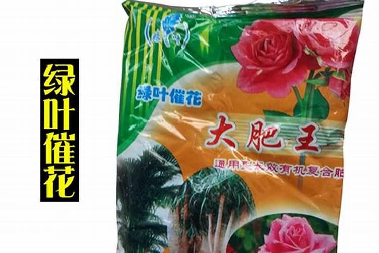 观叶盆景叶面喷施什么肥好？观叶盆景养护施肥方法