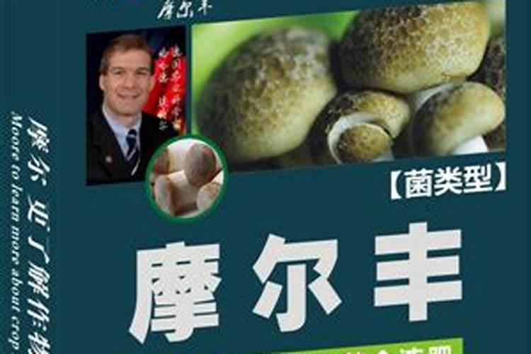 谁有详细的黑木耳种植技术.越详细越好