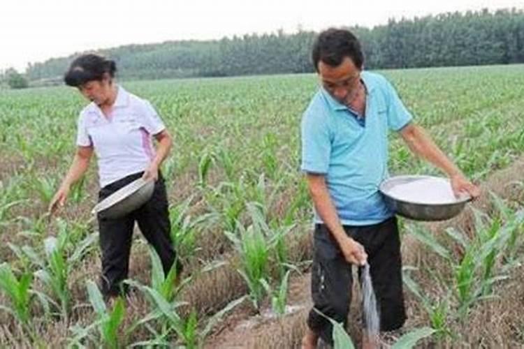 农药到底是水溶还是脂溶？