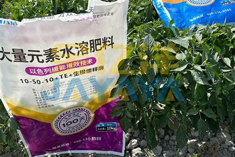 农药是水溶性的还是脂肪