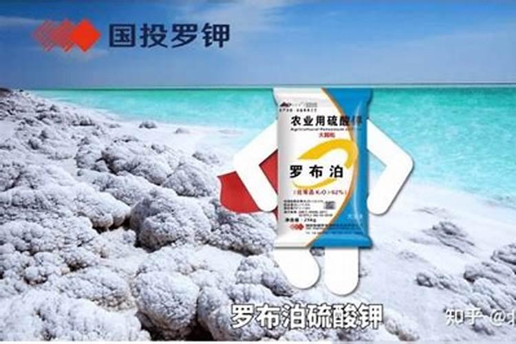 芝麻盐葱花饼怎么做好吃