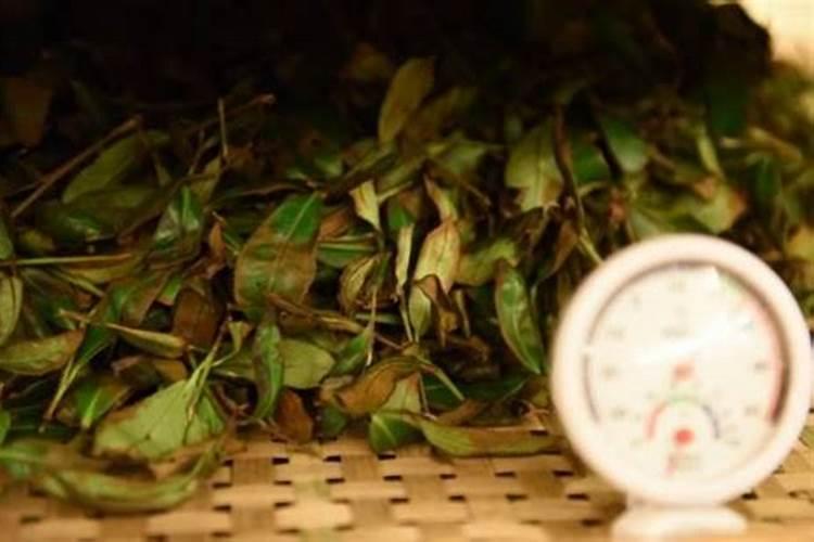乌龙茶的功效
