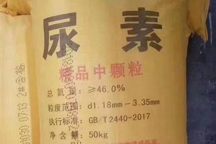 氮肥是什么