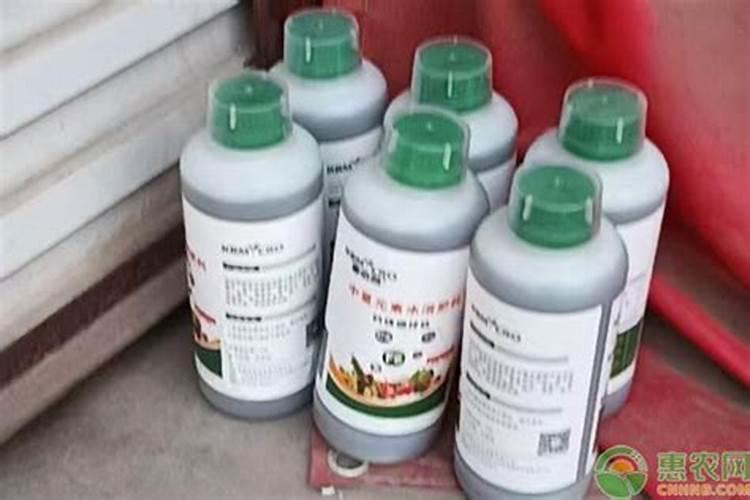 矿源黄腐酸钾可以用在新移栽的树苗吗？