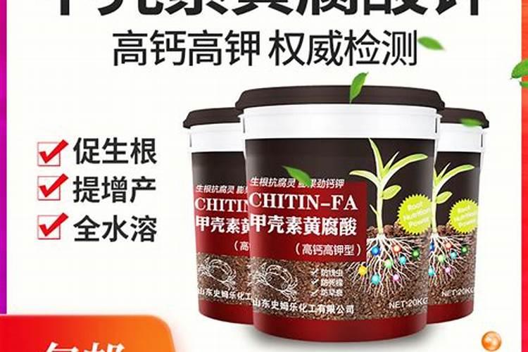 生姜水发酵后可以当肥料吗？