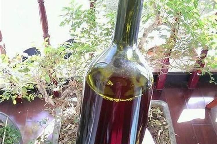 牛奶可以浇花吗 牛奶可以直接浇花浇植物吗