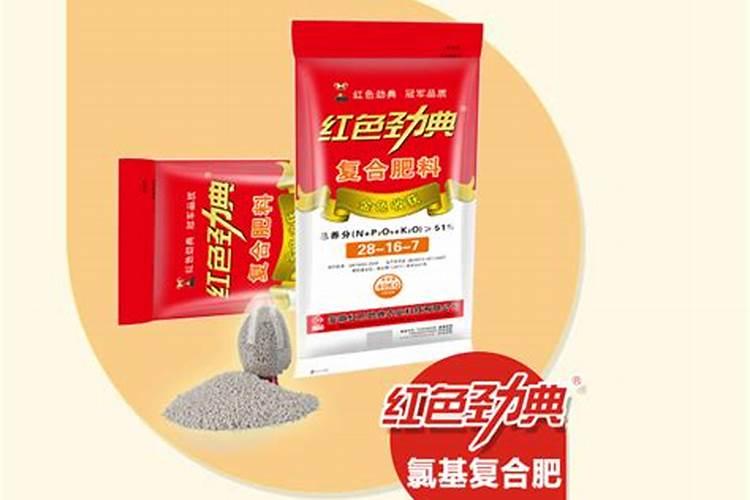多肉植物施什么肥容易爆盆