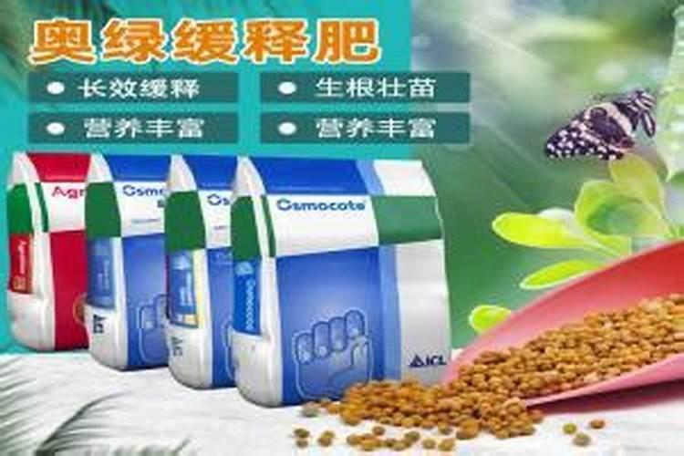 黄芪的人工种植方法 黄芪的人工种植方法是什么
