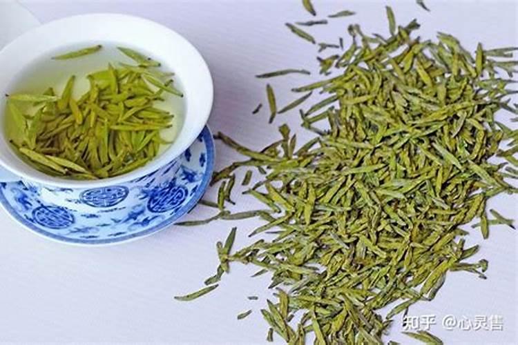 山茶属于什么类型的茶？