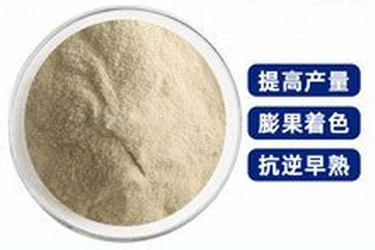 鱼蛋白最忌三种肥料