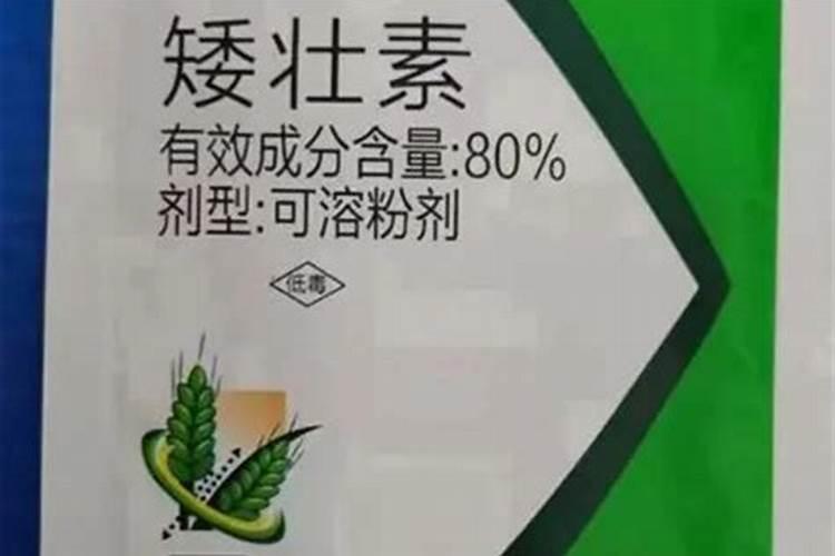 谷子白发病防治怎么药剂防治
