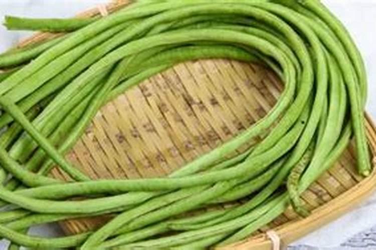 种豆角用什么肥料好