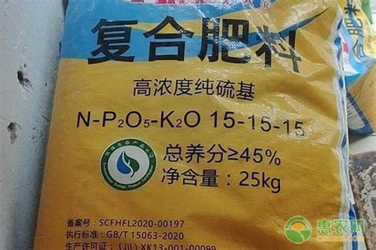 豆角浇水的正确方法