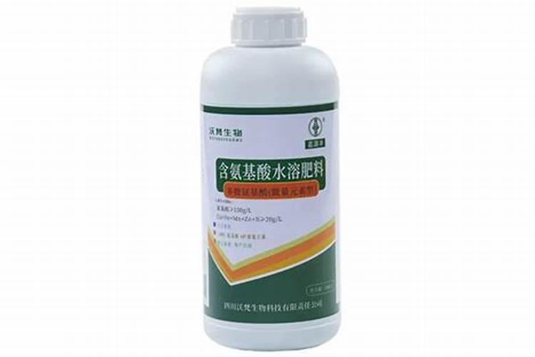 大花蕙兰开完花怎么处理？