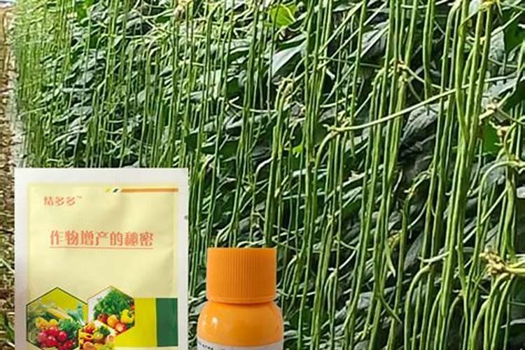 豆角喷洒完叶面肥可以吃吗？
