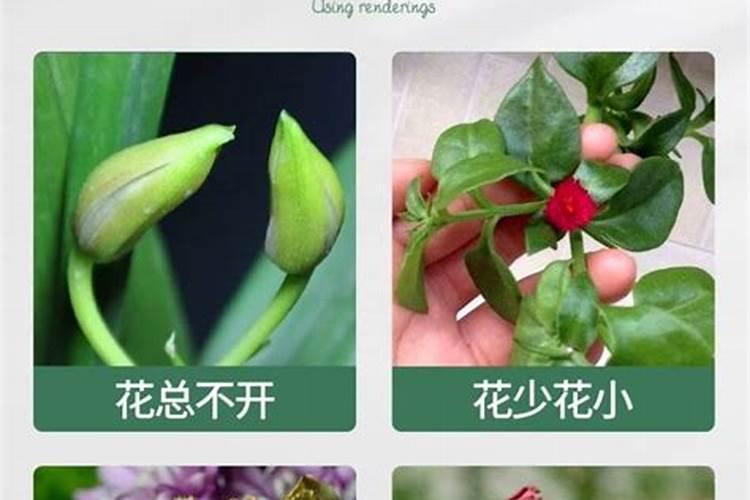 化肥价格走高,动物粪便成了“抢手货”!化肥还要涨多久？