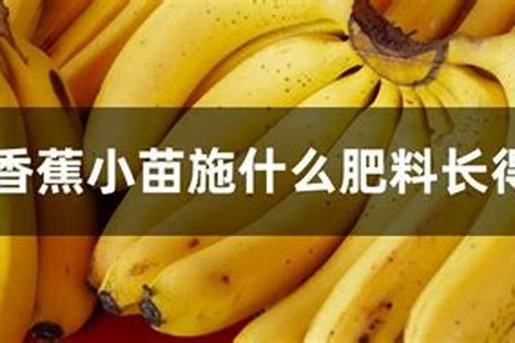 水溶肥能代替复合肥吗