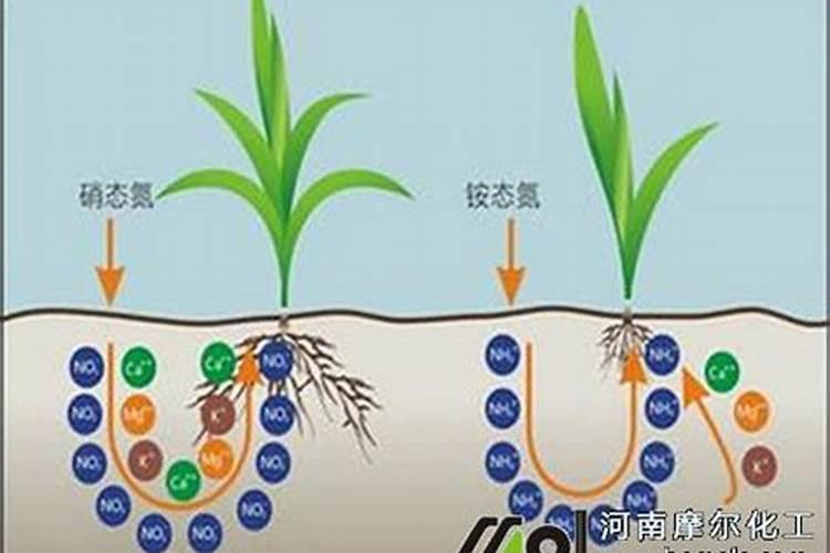 水溶肥能代替复合肥吗