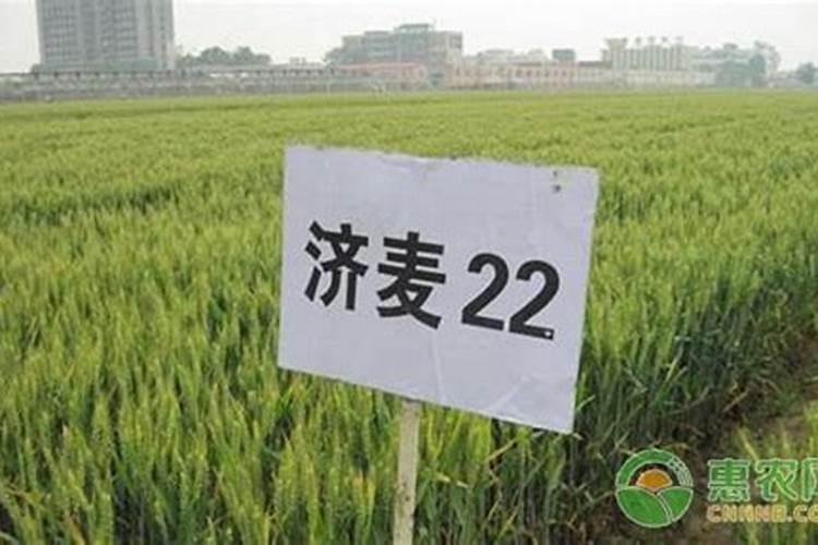 底肥用了磷酸二铵还用追肥磷酸二氢钾吗？