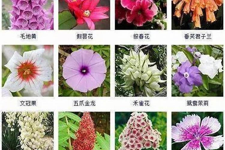 农田不断施加氮肥的原因是