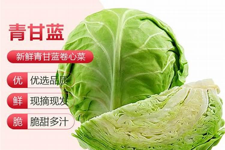 如何才能种出来高产的包菜？包菜的种植要点有什么？