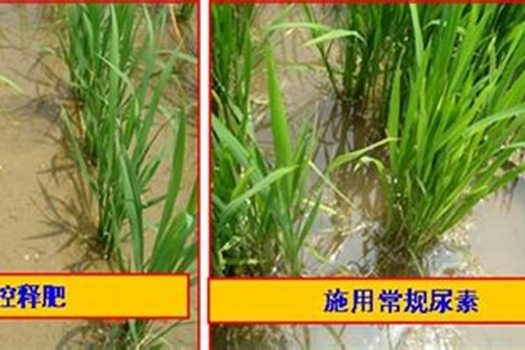 控释肥能撒地面吗？