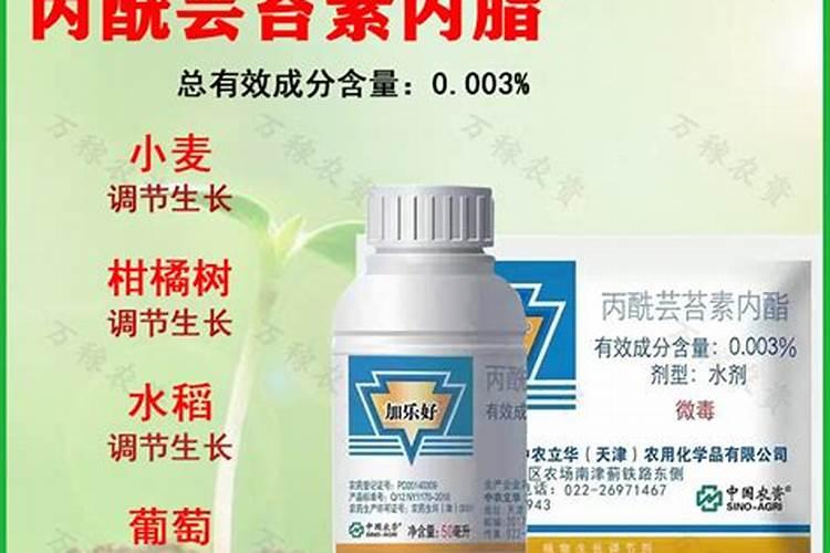 哪种钙片补钙效果好？适合高中生吃